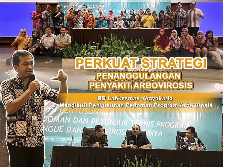 Perkuat Strategi Penanggulangan Penyakit Arbovirosis, BB Labkesmas Yogyakarta ikuti Penyusunan Pedoman Program Arbovirosis
